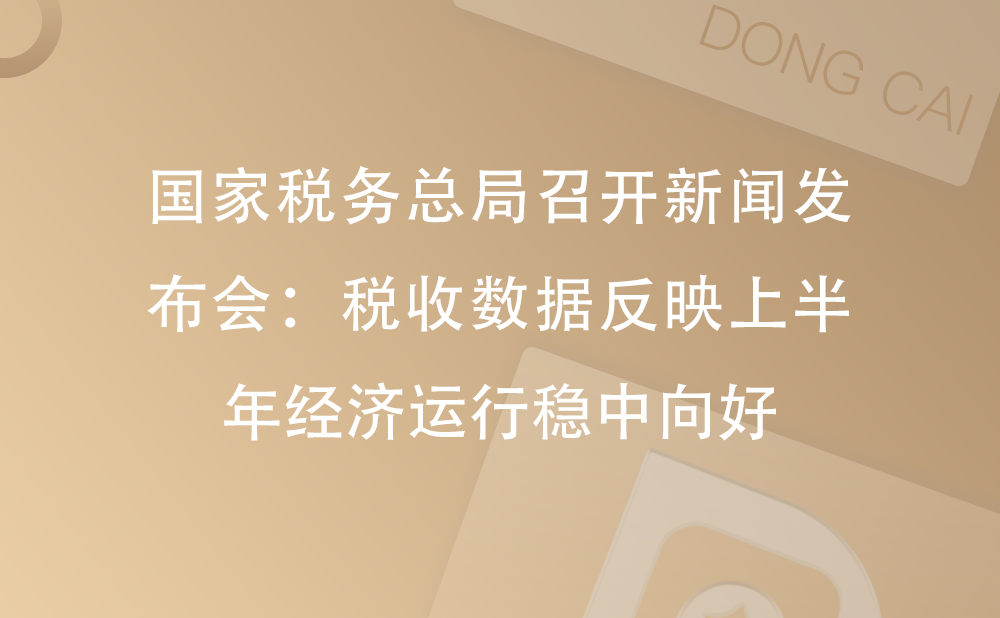 国家税务总局召开新闻发布会：税收数据反映上半年经济运行稳中向好